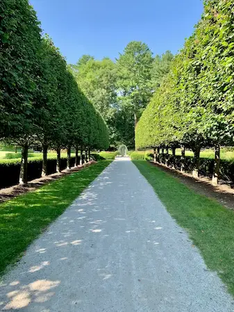 A photograph of a pathway lined with trees on both sides.